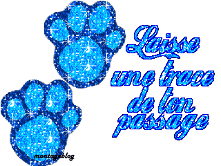 vos commmmmmmmmmss svp